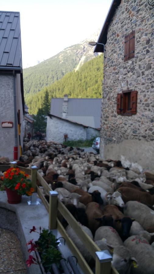 Chez Annie & Marcel Bed and Breakfast Le Monêtier-les-Bains Exteriör bild